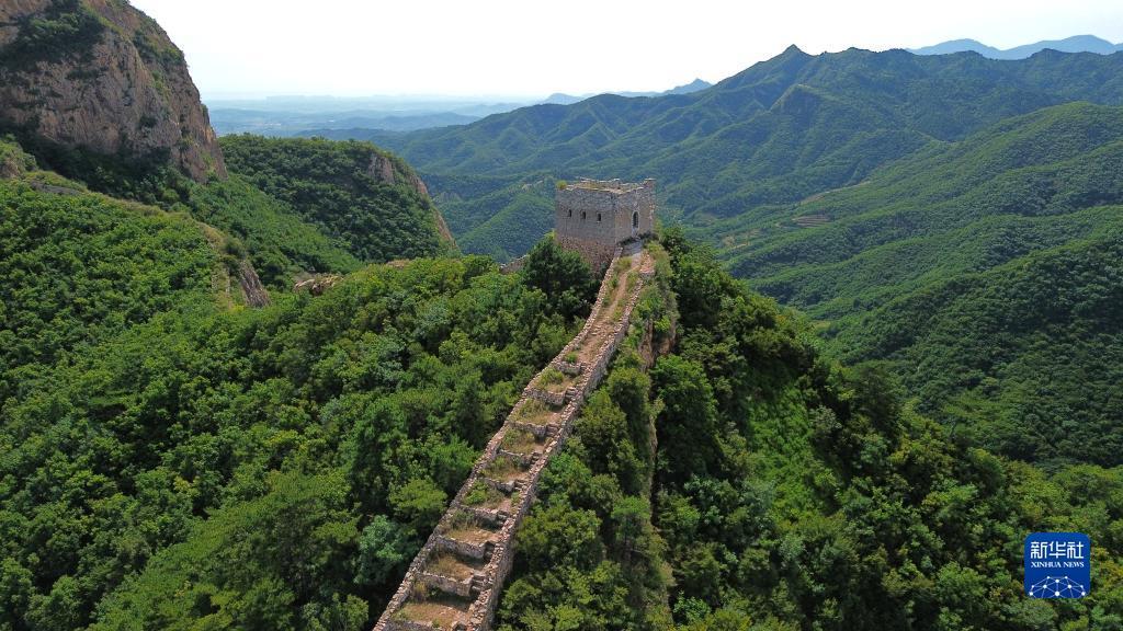 开户赠金无需入金